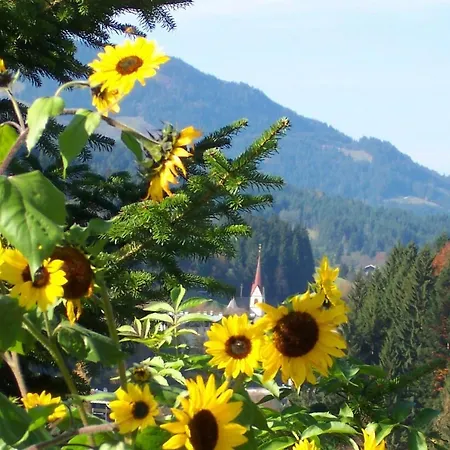 Ferienwohnung Saalbach Fieberbrunn *