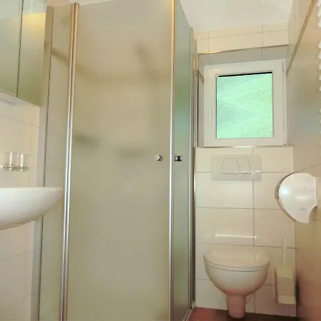 Apartment Ferienwohnung Saalbach Fieberbrunn
