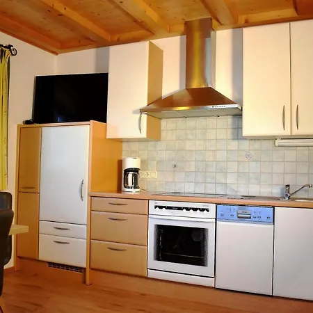 Apartment Ferienwohnung Saalbach Fieberbrunn