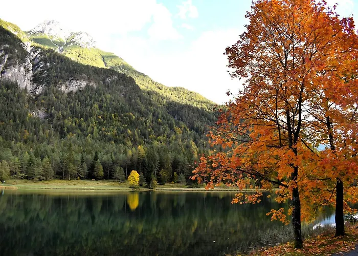 Apartament Saalbach *