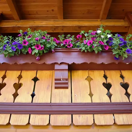 Apartmán Saalbach *